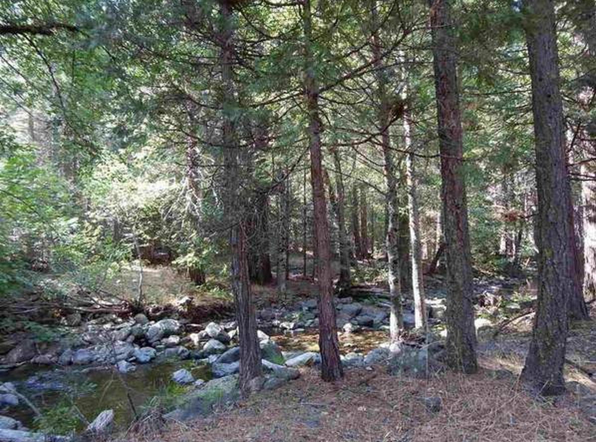 househunting:  $225000/studio off grid cabinSomewhere outside of Chico, CA