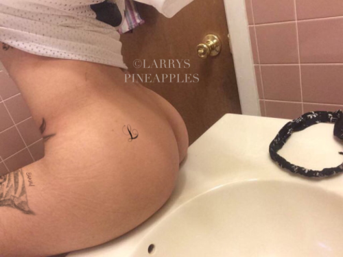 larryspineapple-nsfw:  photos for when lou is away