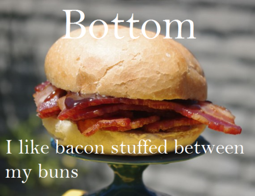 thebearsupthere:  wallywest89:  How to get a straight guy to understand common gay/sexual/relationship terms… use bacon!  Accurate.