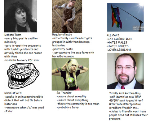 feministtraysh: cocksmasher69:  genderatheism: tag urself what type of radfem blogger are you Im who