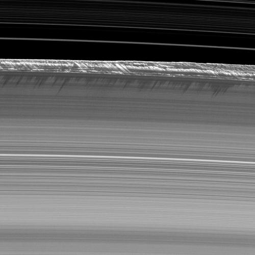  Vertical structures, among the tallest seen in Saturn’s main rings, rise abruptly from the ed