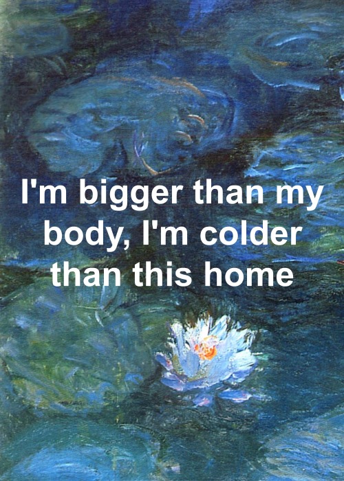 navybblue:  Colors // Halsey x Water Lilies // Claude Monet