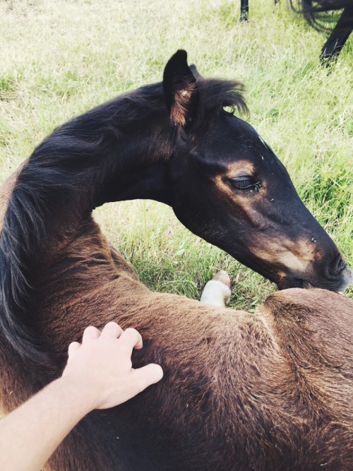saisirlesjour:scratches for the lil baby 😍