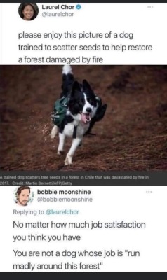 memeuplift: