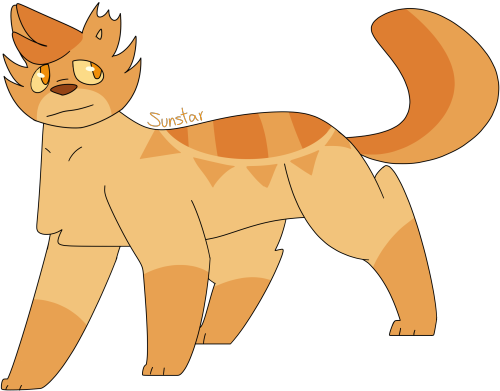 [Image Description: A digital drawing of Sunstar from the Warrior Cats books. Sunstar is a light ora