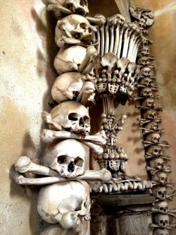 aussiegrunt:  Sedlec Ossuary. Kutna Hora,