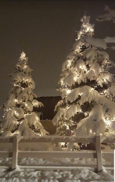 The Essence Of Christmas