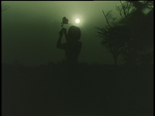 dilfbogarde:  emotion (1966) dir. nobuhiko obayashi