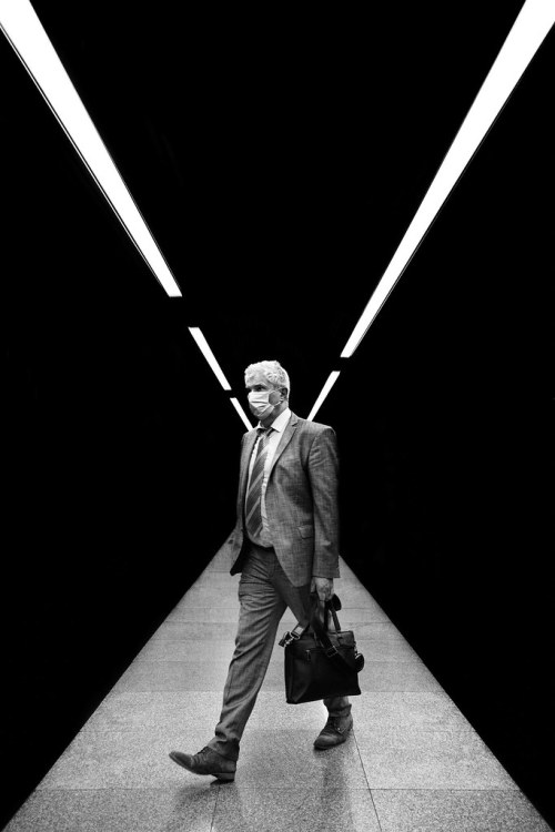 thingsdavidlikes