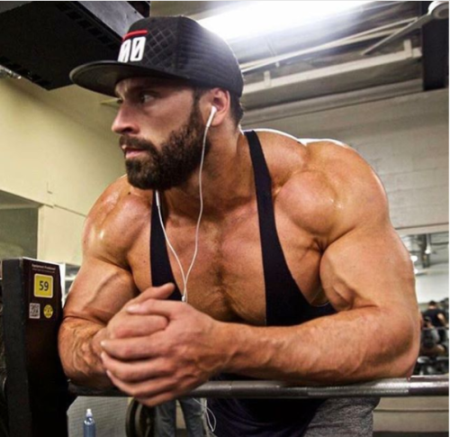 dafyddbach:    Bradley Martyn for 5300 followers.  For more muscle hunkery follow @dafyddbach