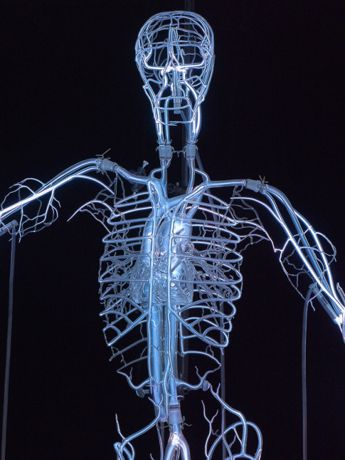 itscolossal:A Pulsating Neon Skeleton by Tavares Strachan Honors Scientist Rosalind Franklin 