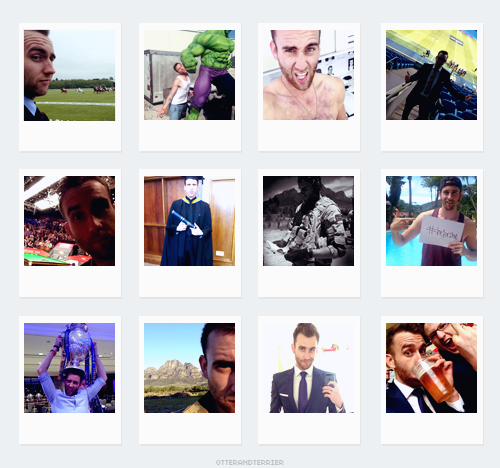 otterandterrier:  HP Cast + Social Networks (8/??)