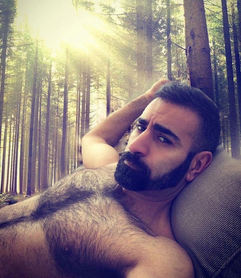 HairyBears4Me