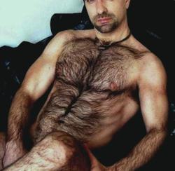 omgtripod:  Awesome specimen of hairy-muscle!