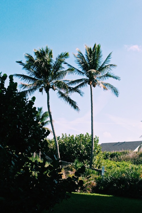 thelifeofjessicaa:  Hutchinson Island, FL