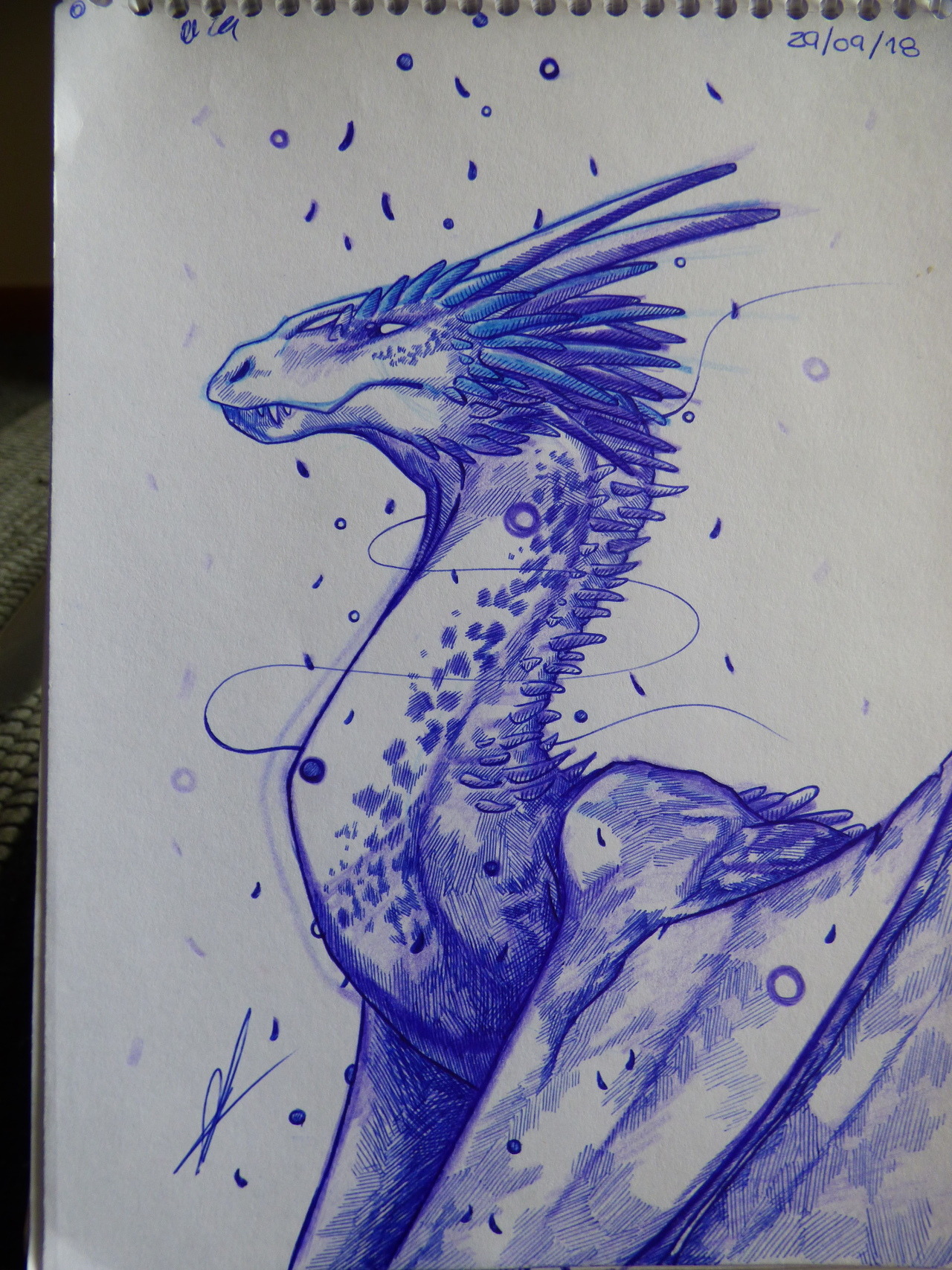 DragonLady Art: Dragon Art by Carla Morrow — Otro pequeño dibujo hecho  primero con lapiz y...