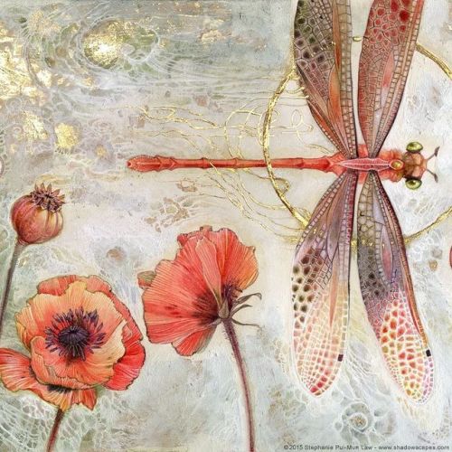 shadowscapes-stephlaw:“Trance”#dragonfly