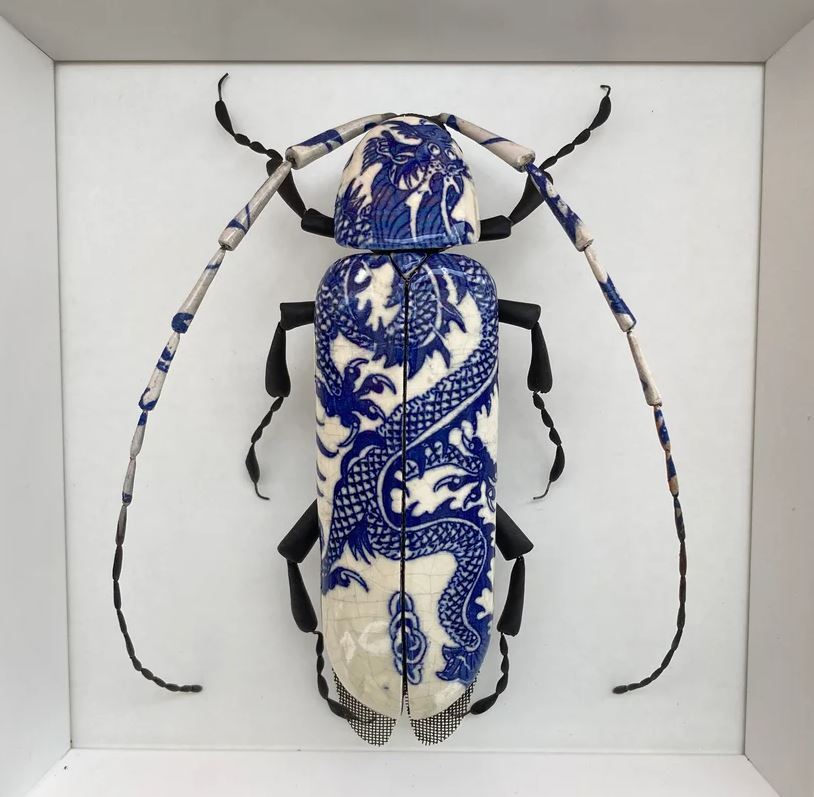 Porn Pics entomologize:ALTALTALTCeramic beetles by