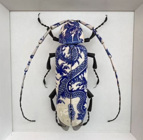 entomologize:ALTALTALTCeramic beetles by Ross DeWayne Campbell