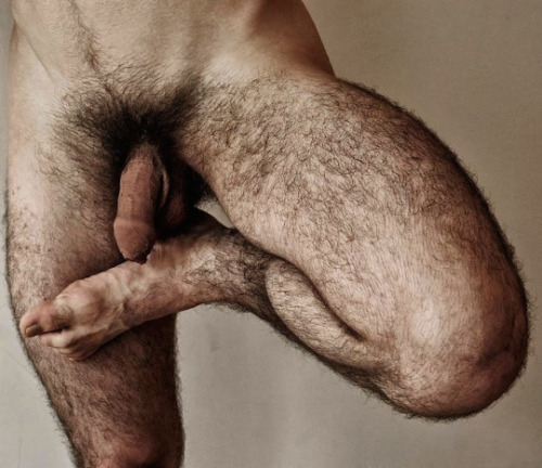 hairymacho:http://hairymacho.tumblr.com/