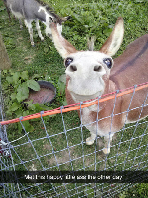 srsfunny:  Happy To See Youhttp://srsfunny.tumblr.com/ 