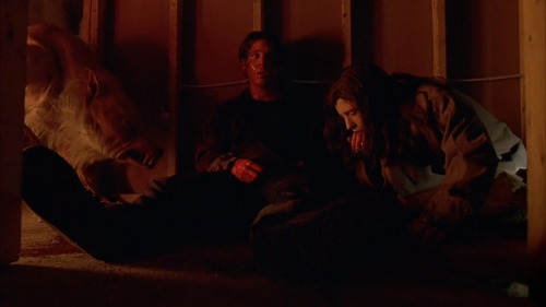 snailmailthings: Ginger Snaps dir. John Fawcett (2000) / Jennifer’s Body dir. Karyn Kusama (20