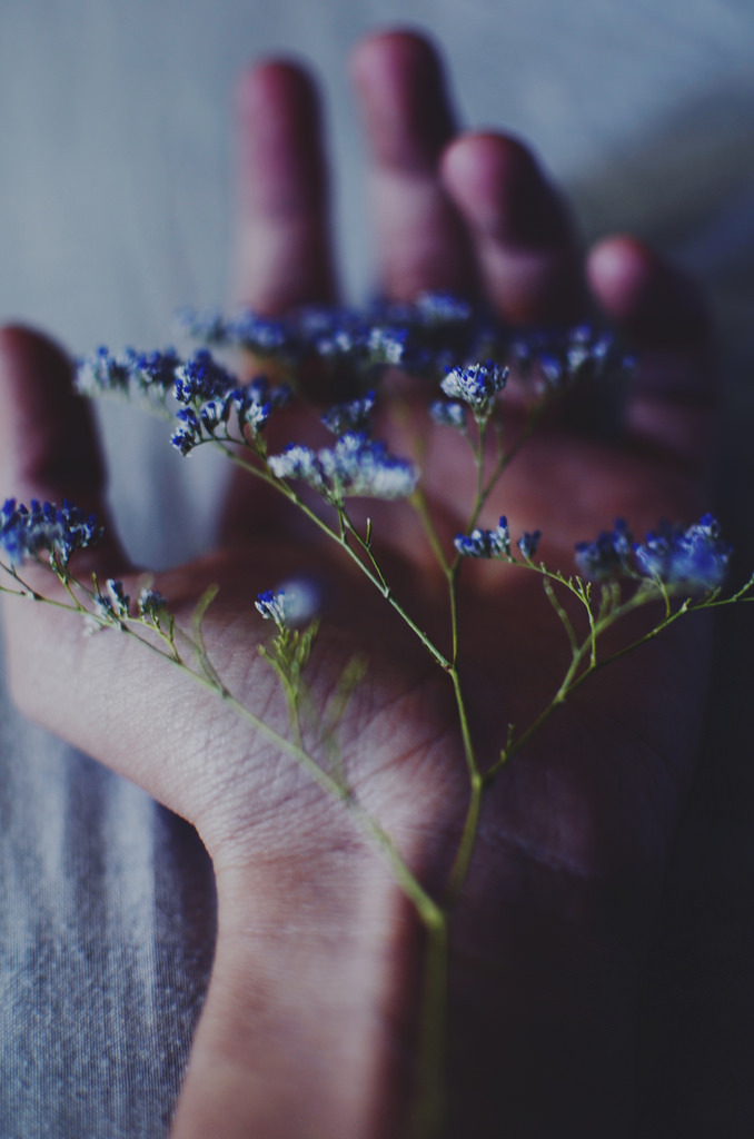 floralls:  (by Pupi Perez Brizuela)