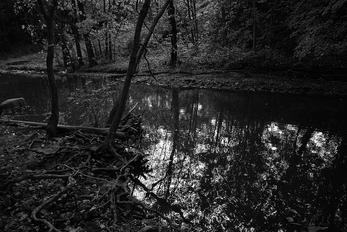 :  A Place To Reflect | GarettPhotography 