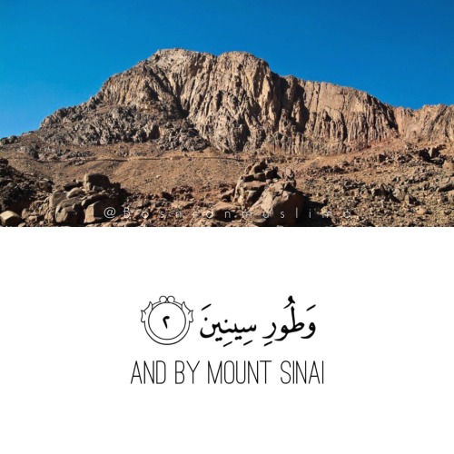 bosnianmuslima: My edit surah At tin (the fig) Plz do not remove/rearrange the photos or crop my na