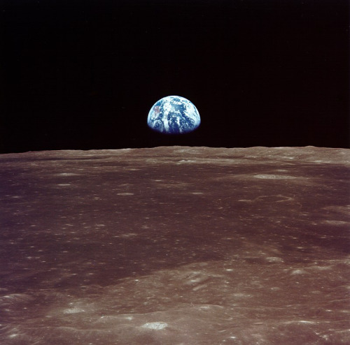 birdasaurus: Apollo 11 Sees Earthrise (NASA, Marshall, July, 1969)