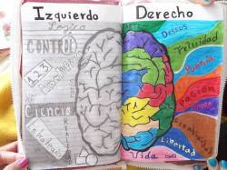 Pensardemasiadocomplicalascosas:  Amo Mi Lado Deeeeeeeeeeeeeeeerecho :3  