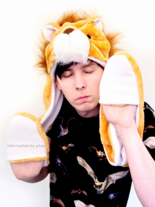 interrupted-by-phan:  Llama Hat & Lion Hat [x] [x] 