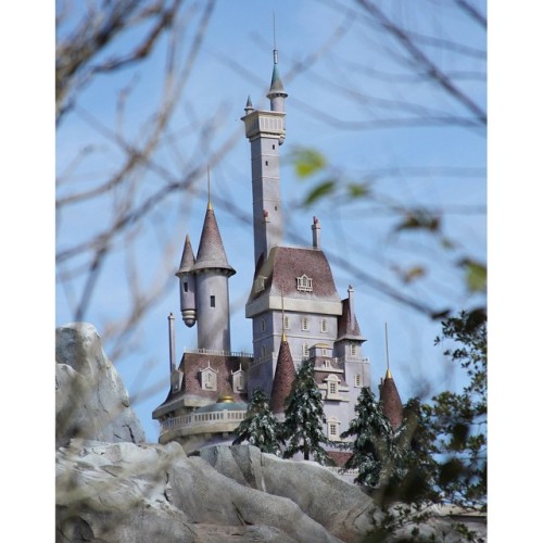[Day 28: Castle] Beast’s Castle in #WDW. #31daysofmagic #31dayphotochallenge #disney #disneysi