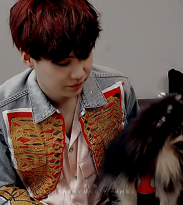 Min Yoongi & Dogs