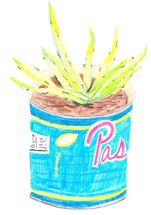 I’ve been humming and cooing at my little fire escape garden all summer, whilst dreaming of a plot t