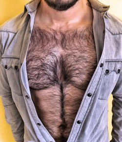 ty3141:Fur-fection