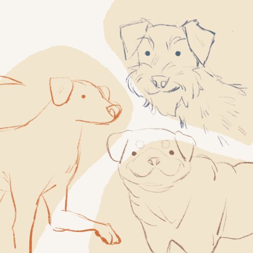 some doggy warmups before i start on pet comms online store | twitter | instagram | portfolio site