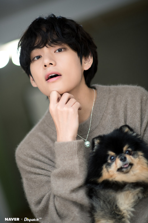 In Celebration Of V's Birthday Dispatch X Naver Released Photos Of Taehyung With Yeontan