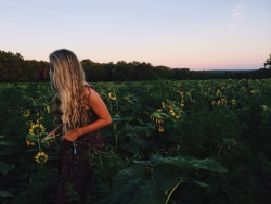 bvddhist:  upclosefromafar:  zoe-rh:  Visited a sunflower field today in Poolsville, MD.  ~My Hidden Nirvana~  organic // spiritual // hippie