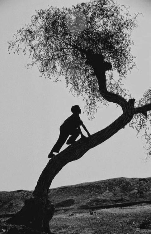 paolo-streito-1264:  Om Mishra. Village child is climbing on the tree, India, 2007. 