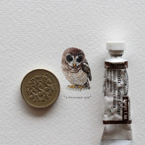 XXX asylum-art:  Postcards for Ants, Artist Creates photo