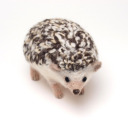 felthedgehog avatar