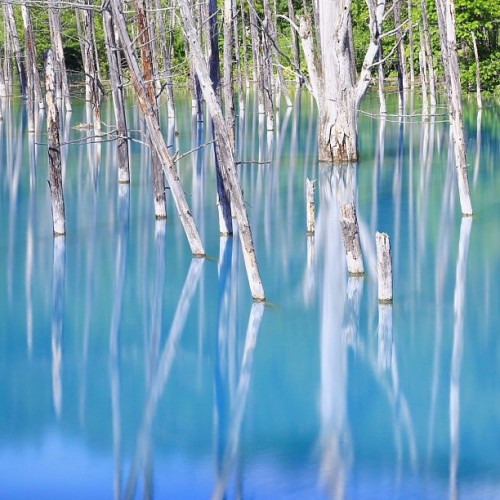 instagram:Hokkaido, Japan’s Iridescent Blue Pond (青い池)See more photos from Hokkaido’s Blue Pond by v
