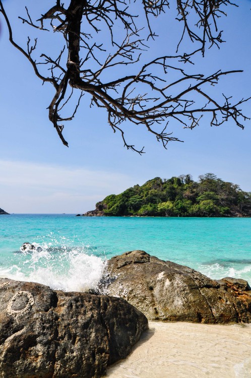 secretsofasoul: danlophotography:Koh Rang | Thailand Check out my blog, lovelies? You won’t re