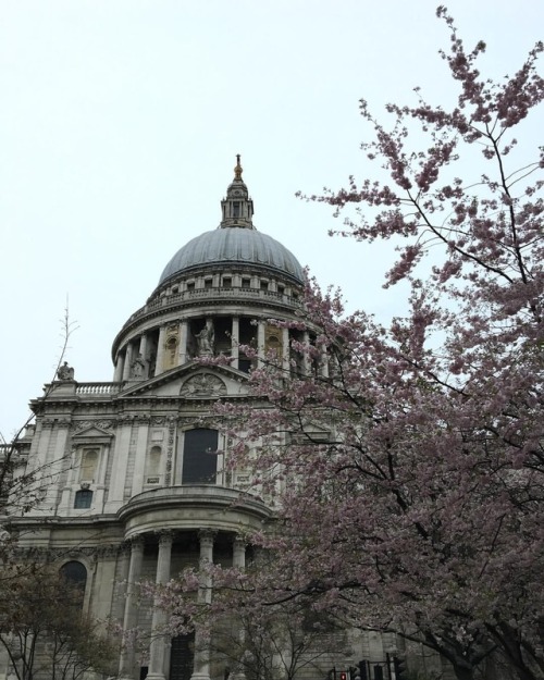 nguarda:#stpaulscathedral #london #igerslondon (at St. Paul’s Cathedral)