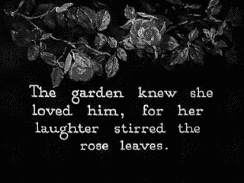My Teen Quote