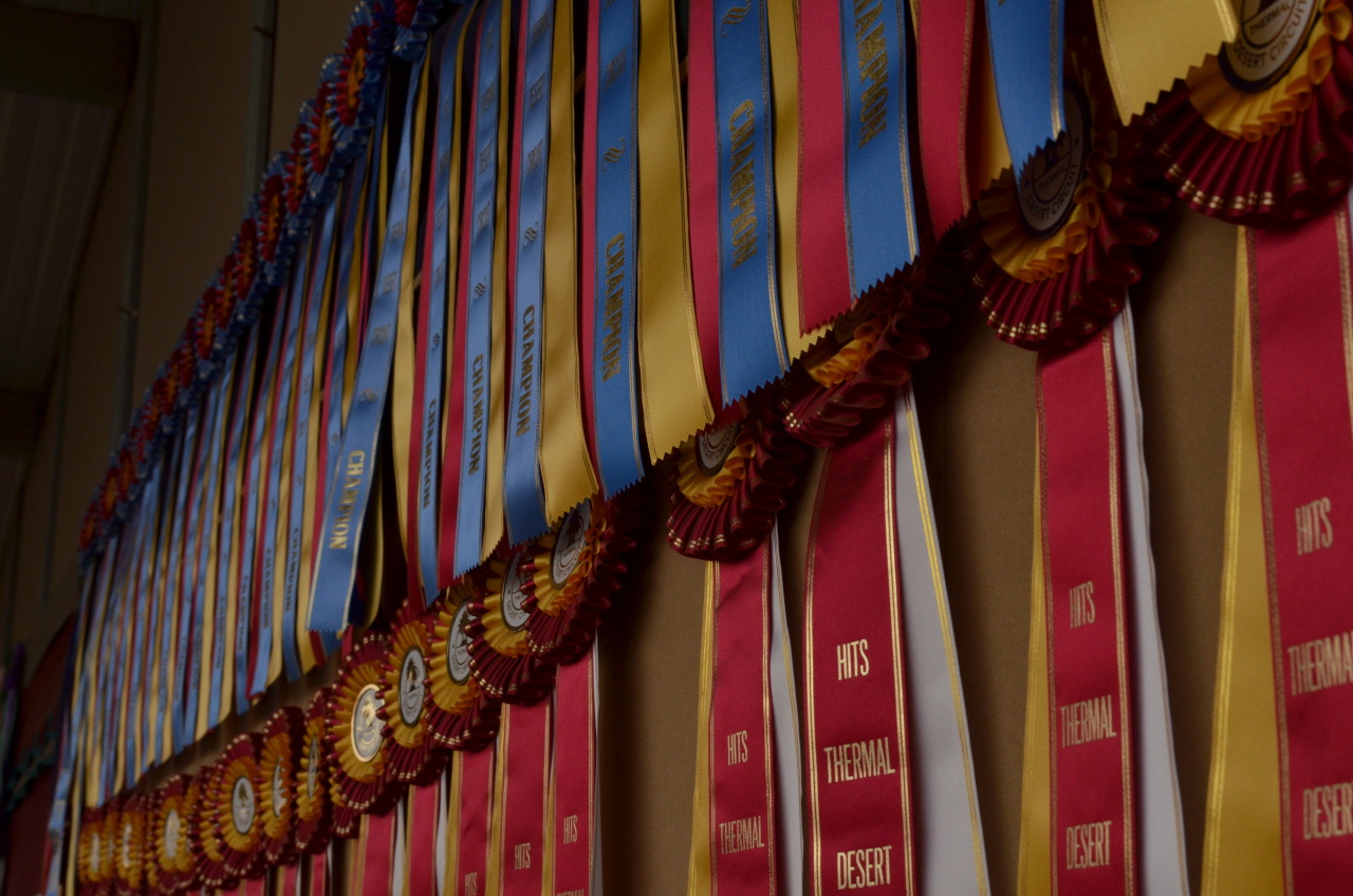 sittingtrot:  ribbons ribbons everywhere 