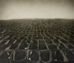 arpeggia:  Robert and Shana ParkeHarrison - Garden of Selves See more Robert and Shana ParkeHarrison posts here.