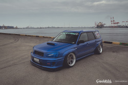 timetochaing:    ♡ FORESTER ♡