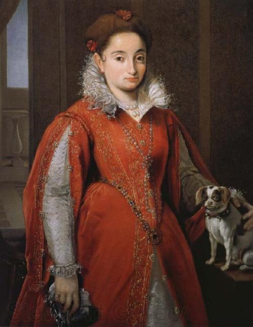 Portrait of a Lady with a lapdog by Alessandro Allori, 1580-85